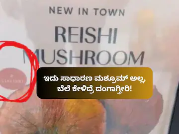 ಈ ಮಶ್ರೂಮ್ ಬೆಲೆ ಬರೋಬ್ಬರಿ 5 ಲಕ್ಷ ರೂಪಾಯಿ; ಅಂತಹದ್ದೇನಿದೆ ತಿಳಿದ್ರೆ ಬೆಚ್ಚಿ ಬೀಳ್ತೀರಿ! | Hyderabad Store Sells special One Mushroom Worth 5 Lakhs | ಲೈಫ್‌ಸ್ಟೈಲ್ | ACTPnews