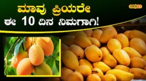 Mango Mela: ಇಂದಿನಿಂದ ಕಬ್ಬನ್ ಪಾರ್ಕ್‍ನಲ್ಲಿ ಹಣ್ಣುಗಳ ರಾಜನ ಅದ್ಧೂರಿ ದರ್ಬಾರ್, 10 ದಿನಗಳ ಕಾಲ ಮಾವು-ಹಲಸಿನ ಮೇಳ! | ಬೆಂಗಳೂರು ನಗರ ನ್ಯೂಸ್ (Bengaluru Urban News) | ACTPnews
