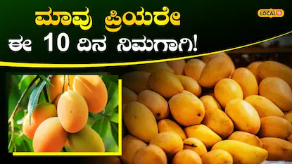 Mango Mela: ಇಂದಿನಿಂದ ಕಬ್ಬನ್ ಪಾರ್ಕ್‍ನಲ್ಲಿ ಹಣ್ಣುಗಳ ರಾಜನ ಅದ್ಧೂರಿ ದರ್ಬಾರ್, 10 ದಿನಗಳ ಕಾಲ ಮಾವು-ಹಲಸಿನ ಮೇಳ! | ಬೆಂಗಳೂರು ನಗರ ನ್ಯೂಸ್ (Bengaluru Urban News) | ACTPnews