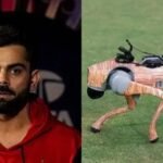 Virat Kohli: ಬಿಸಿಸಿಐನ ರೋಬೋ-ಡಾಗ್ ಬಗ್ಗೆ ಕೊಹ್ಲಿ ಅಸಮಾಧಾನ! ವಿರಾಟ್ ಮೈದಾನದಲ್ಲಿ ಸ್ನೇಹಿತನೊಂದಿಗೆ ಮಾತಾಡುವಾಗ ಏನಾಯಿತು ಗೊತ್ತಾ? | ಕ್ರೀಡಾ ಸುದ್ದಿ | ACTPnews