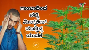 Cannabis Plants: ಬೆಡ್​ರೂಮಲ್ಲಿ ಒಂದಲ್ಲ, ಎರಡಲ್ಲ 70 ಗಾಂಜಾ ಗಿಡ! ಸಿಕ್ಕಿ ಬಿದ್ದಾಗ ಈತ ಹೇಳಿದ ಕಥೆ ಕೇಳಿ! | Haryana Man in Kerala grew 70 cannabis plants | ರಾಷ್ಟ್ರೀಯ ಮತ್ತು ಅಂತಾರಾಷ್ಟ್ರೀಯ ಸುದ್ದಿ | ACTPnews
