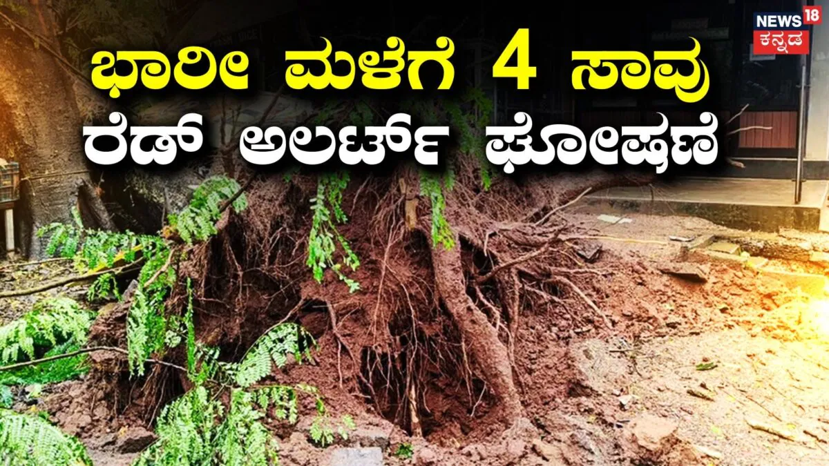 Kerala Rains: ಭಾರೀ ಮಳೆಗೆ ತತ್ತರಿಸಿದ ಕೇರಳ! 24 ಗಂಟೆಯಲ್ಲಿ 4 ಸಾವು, 28 ಮಂದಿಗೆ ಗಾಯ, ರೆಡ್ ಅಲರ್ಟ್ ಘೋಷಣೆ | ರಾಷ್ಟ್ರೀಯ ಮತ್ತು ಅಂತಾರಾಷ್ಟ್ರೀಯ ಸುದ್ದಿ