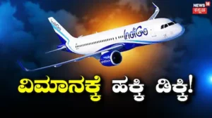Flight Suffers Bird: ಬೆಂಗಳೂರಿನಿಂದ ಮುಂಬೈಗೆ ಹಾರುತ್ತಿದ್ದ ಇಂಡಿಗೋ ವಿಮಾನಕ್ಕೆ ಹಕ್ಕಿ ಡಿಕ್ಕಿ | ರಾಷ್ಟ್ರೀಯ ಮತ್ತು ಅಂತಾರಾಷ್ಟ್ರೀಯ ಸುದ್ದಿ | ACTPnews