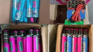 Fireworks Siezed: 35 ಕೋಟಿ ಮೌಲ್ಯದ ಚೀನಾ ಮೂಲದ ಪಟಾಕಿಗಳನ್ನು ವಶಪಡಿಸಿಕೊಂಡ ಡಿಆರ್‌ಐ; 12 ಜನರ ಬಂಧನ | ರಾಷ್ಟ್ರೀಯ ಮತ್ತು ಅಂತಾರಾಷ್ಟ್ರೀಯ ಸುದ್ದಿ | ACTPnews