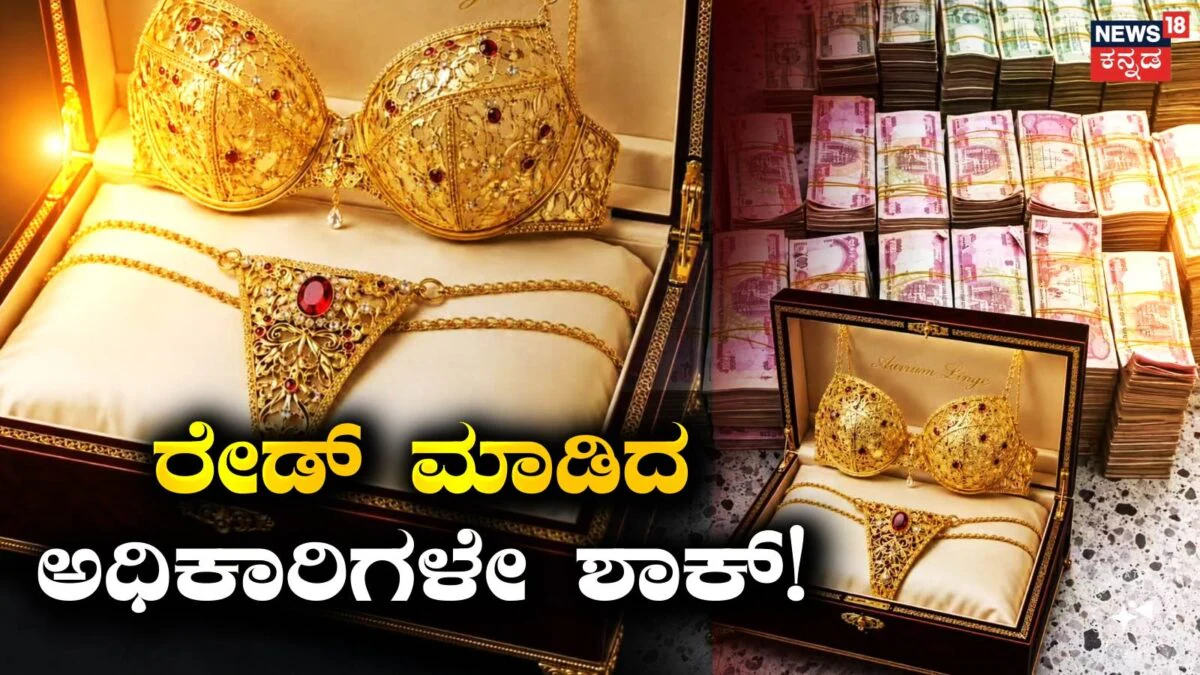Iraq: ಸಂಸದೆ ಮನೆಯಲ್ಲಿ ಸಿಕ್ತು ಚಿನ್ನದ ಒಳ ಉಡುಪು! ಎಷ್ಟು ಕೆಜಿ ಬಂಗಾರ ಗೊತ್ತಾ? | anti curruption raid at Iraq mp s home found 27 kg gold and gold innerwear | ರಾಷ್ಟ್ರೀಯ ಮತ್ತು ಅಂತಾರಾಷ್ಟ್ರೀಯ ಸುದ್ದಿ | ACTPnews