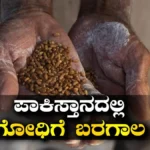 Wheat Supply Crisis: ಪಾಕಿಸ್ತಾನದಲ್ಲಿ ಬ್ರೆಡ್ ಬಿಕ್ಕಟ್ಟು! ಗೋಧಿ ಸರಬರಾಜು ಸ್ಥಗಿತ, 45 ಹಿಟ್ಟಿನ ಗಿರಣಿಗಳು ಮುಚ್ಚುವ ಭೀತಿ | ರಾಷ್ಟ್ರೀಯ ಮತ್ತು ಅಂತಾರಾಷ್ಟ್ರೀಯ ಸುದ್ದಿ | ACTPnews