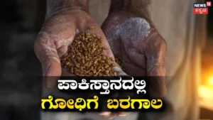 Wheat Supply Crisis: ಪಾಕಿಸ್ತಾನದಲ್ಲಿ ಬ್ರೆಡ್ ಬಿಕ್ಕಟ್ಟು! ಗೋಧಿ ಸರಬರಾಜು ಸ್ಥಗಿತ, 45 ಹಿಟ್ಟಿನ ಗಿರಣಿಗಳು ಮುಚ್ಚುವ ಭೀತಿ | ರಾಷ್ಟ್ರೀಯ ಮತ್ತು ಅಂತಾರಾಷ್ಟ್ರೀಯ ಸುದ್ದಿ | ACTPnews