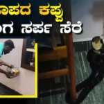 King Cobra Rescue: ರಜಾದಿನ ಮನೆಗೆ ಬಂದ ವಿಶೇಷ ಅತಿಥಿ ಕಂಡು ಕಂಗಾಲಾದ ಕುಟುಂಬಸ್ಥರು; 8 ಅಡಿ ಉದ್ದದ ಕಾಳಿಂಗ ಸರ್ಪ ಸೆರೆ | ರಾಷ್ಟ್ರೀಯ ಮತ್ತು ಅಂತಾರಾಷ್ಟ್ರೀಯ ಸುದ್ದಿ | ACTPnews