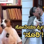 Rahul Gandhi: ಸೋನಿಯಾ ಗಾಂಧಿಯವರ ಪ್ರೀತಿಯ ನಾಯಿ ನೋಡಿದ್ದೀರಾ? ‘ನೂರಿ’ಯನ್ನು ವೈರಲ್ ಮಾಡಿದ ರಾಹುಲ್ ಗಾಂಧಿ! | ಟ್ರೆಂಡಿಂಗ್ ಸುದ್ದಿ | ACTPnews
