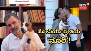 Rahul Gandhi: ಸೋನಿಯಾ ಗಾಂಧಿಯವರ ಪ್ರೀತಿಯ ನಾಯಿ ನೋಡಿದ್ದೀರಾ? ‘ನೂರಿ’ಯನ್ನು ವೈರಲ್ ಮಾಡಿದ ರಾಹುಲ್ ಗಾಂಧಿ! | ಟ್ರೆಂಡಿಂಗ್ ಸುದ್ದಿ | ACTPnews