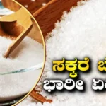 Sugar Price Hike: ದೇಶಾದ್ಯಂತ ಏರುತ್ತಿದೆ ಸಕ್ಕರೆಯ ಬೆಲೆ! ಹಬ್ಬದ ಸೀಸನ್ ಬರ್ತಿದ್ದಂತೆ ಜೇಬಿಗೆ ಬೀಳಲಿದೆ ಕತ್ತರಿ! | ವ್ಯಾಪಾರ ಸುದ್ದಿ | ACTPnews