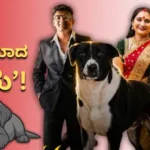 Kunal Chandgude Case: ಕುನಾಲ್ನೂ ಇಲ್ಲ, ತಂದೆ-ತಾಯಿಯೂ ಇಲ್ಲ! ಮನೆ ಮಾಲೀಕರ ದಾರಿ ಕಾಯುತ್ತಾ ಅನ್ನನೀರು ಬಿಟ್ಟ ನಾಯಿ ‘ಶೇರು’! | ರಾಷ್ಟ್ರೀಯ ಮತ್ತು ಅಂತಾರಾಷ್ಟ್ರೀಯ ಸುದ್ದಿ | ACTPnews