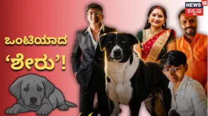 Kunal Chandgude Case: ಕುನಾಲ್ನೂ ಇಲ್ಲ, ತಂದೆ-ತಾಯಿಯೂ ಇಲ್ಲ! ಮನೆ ಮಾಲೀಕರ ದಾರಿ ಕಾಯುತ್ತಾ ಅನ್ನನೀರು ಬಿಟ್ಟ ನಾಯಿ ‘ಶೇರು’! | ರಾಷ್ಟ್ರೀಯ ಮತ್ತು ಅಂತಾರಾಷ್ಟ್ರೀಯ ಸುದ್ದಿ | ACTPnews