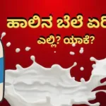 Milk Price Hike: 1 ಲೀಟರ್ ಹಾಲಿನ ಬೆಲೆ 9 ರೂಪಾಯಿ ಏರಿಕೆ! ಸೆಪ್ಟೆಂಬರ್ 1ರಿಂದಲೇ ಇಲ್ಲಿ ಹೊಸ ದರ ಜಾರಿ! | ರಾಷ್ಟ್ರೀಯ ಮತ್ತು ಅಂತಾರಾಷ್ಟ್ರೀಯ ಸುದ್ದಿ | ACTPnews